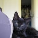 Photo of Winnie