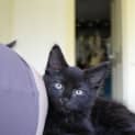 Photo of Winnie