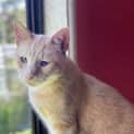 Photo of Quip