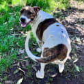Photo of Yasha
