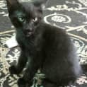 Photo of Popcorn