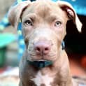 Photo of Ernie
