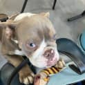 Photo of Charlie Brown