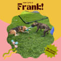 Photo of 🐶Frank!🐶
