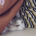 Photo of Winifred