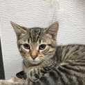 Photo of Pan