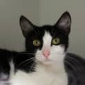 Photo of Sally