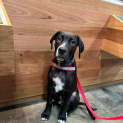 Photo of Knox