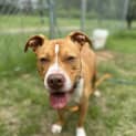 Photo of Bronx