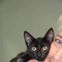 Photo of Binx