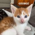 Photo of George