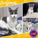 Photo of Benjamin