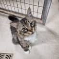 Photo of Oskar
