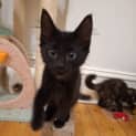 Photo of Zephyr