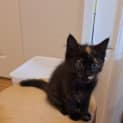 Photo of Flame
