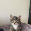 Photo of Effie