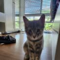 Photo of Cindy