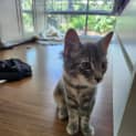 Photo of Cindy
