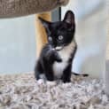 Photo of Yuki