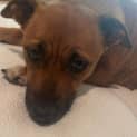 Photo of Banoffee