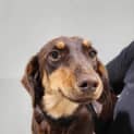 Photo of Truffle