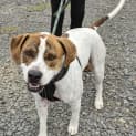 Photo of Barney