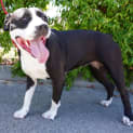 Photo of Charlie