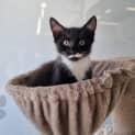 Photo of Yuki