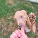 Photo of Bingo