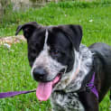 Photo of Jax