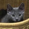 Photo of Greyson 😻🧵