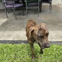 Photo of Anna