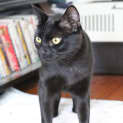 Photo of Laszlo