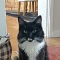 Photo of Sweetie