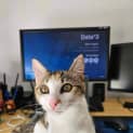 Photo of Daphne
