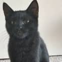 Photo of Dude