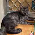 Photo of Lilith