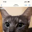 Photo of Lilith