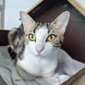 Photo of Rosie