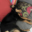 Photo of Meg