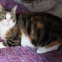Photo of Aggie