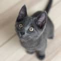 Photo of Dorothy