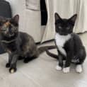 Photo of Minnie & Winnie