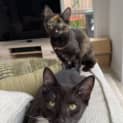 Photo of Minnie & Winnie