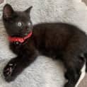 Photo of Stanley