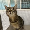 Photo of Luna
