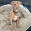 Photo of Bingo