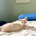 Photo of Sandy