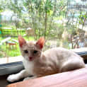 Photo of Sandy
