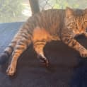 Photo of Bobbi